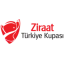 Copa de Turquía