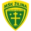 Žilina U19